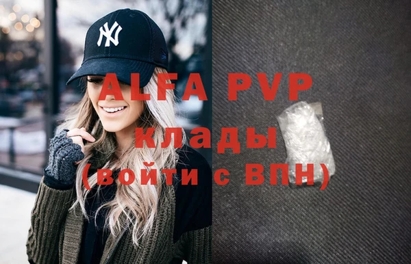 a pvp Бородино