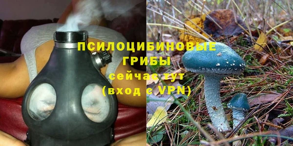 каннабис Богданович