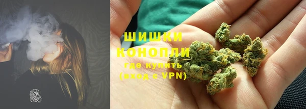 каннабис Богданович